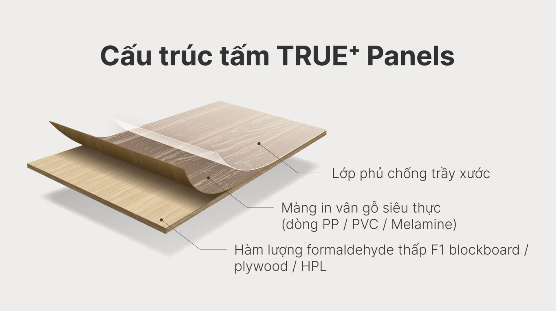 Keding - TRUE⁺ Panels - Interior Surface Solution