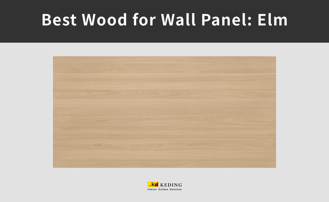 An example of woodgrain of elm.