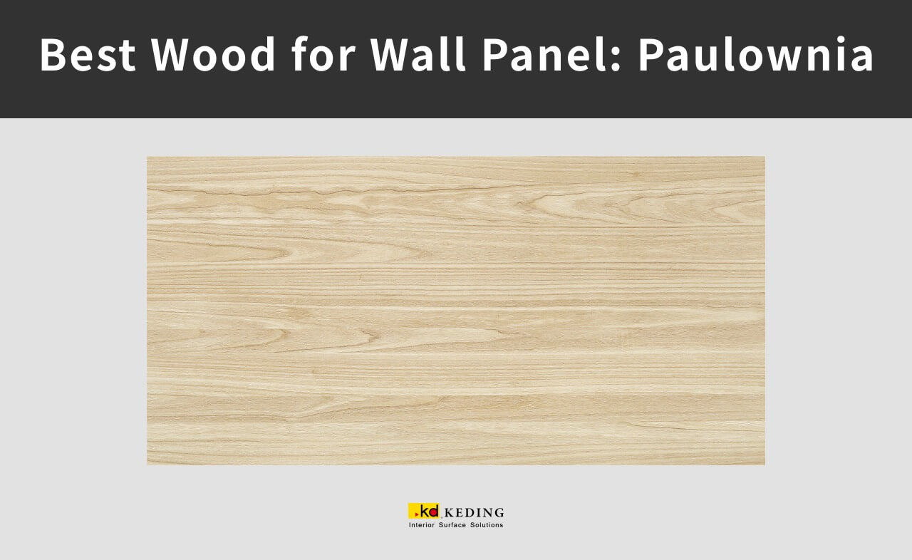 An example of woodgrain of paulownia.